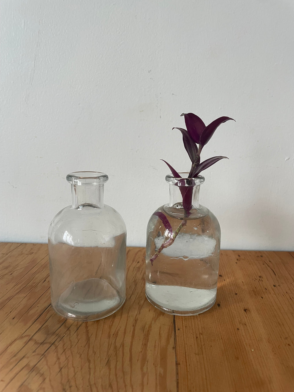 Potion Bottle
