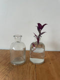 Potion Bottle