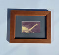 Framed Swan Print