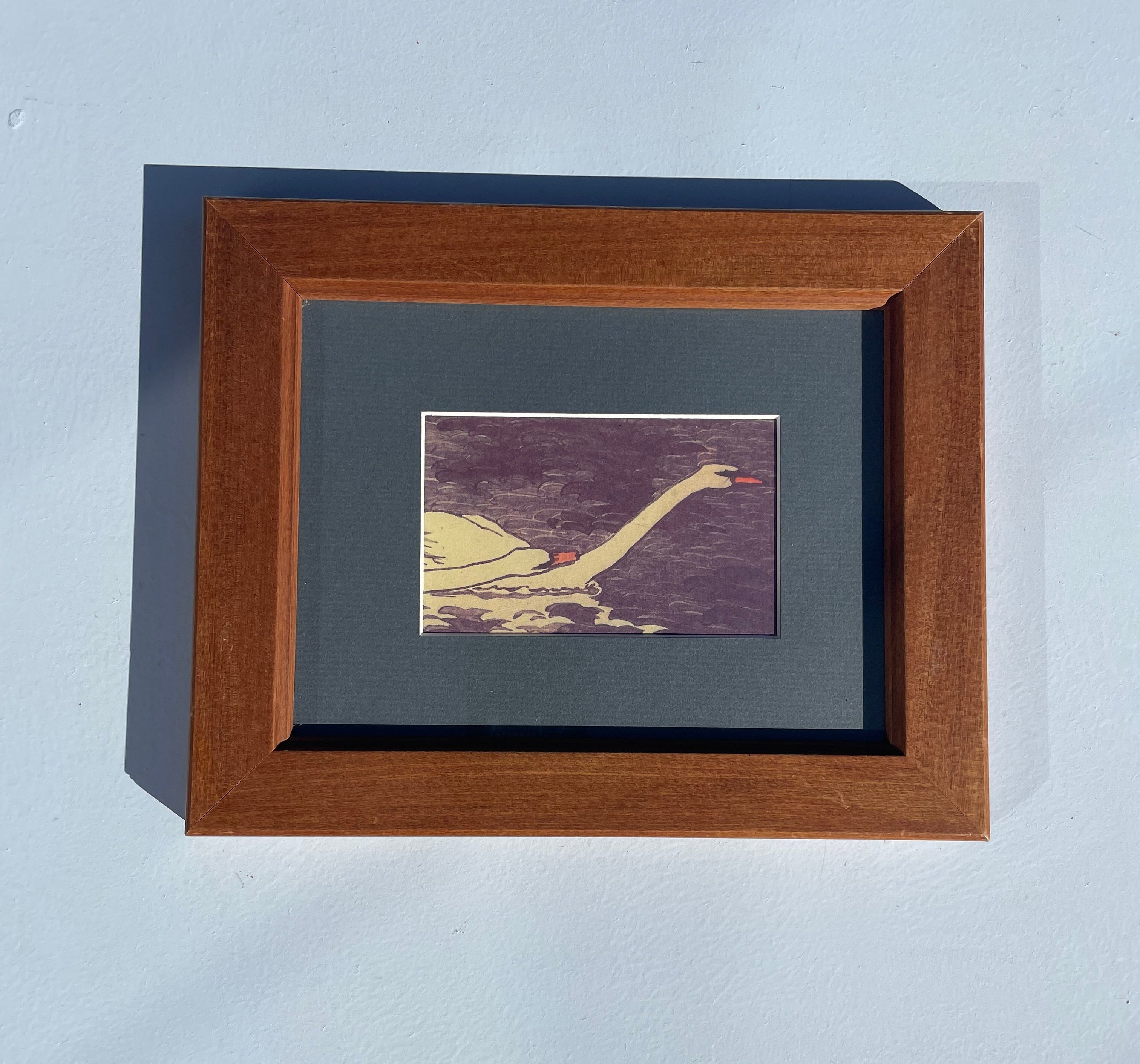 Framed Swan Print
