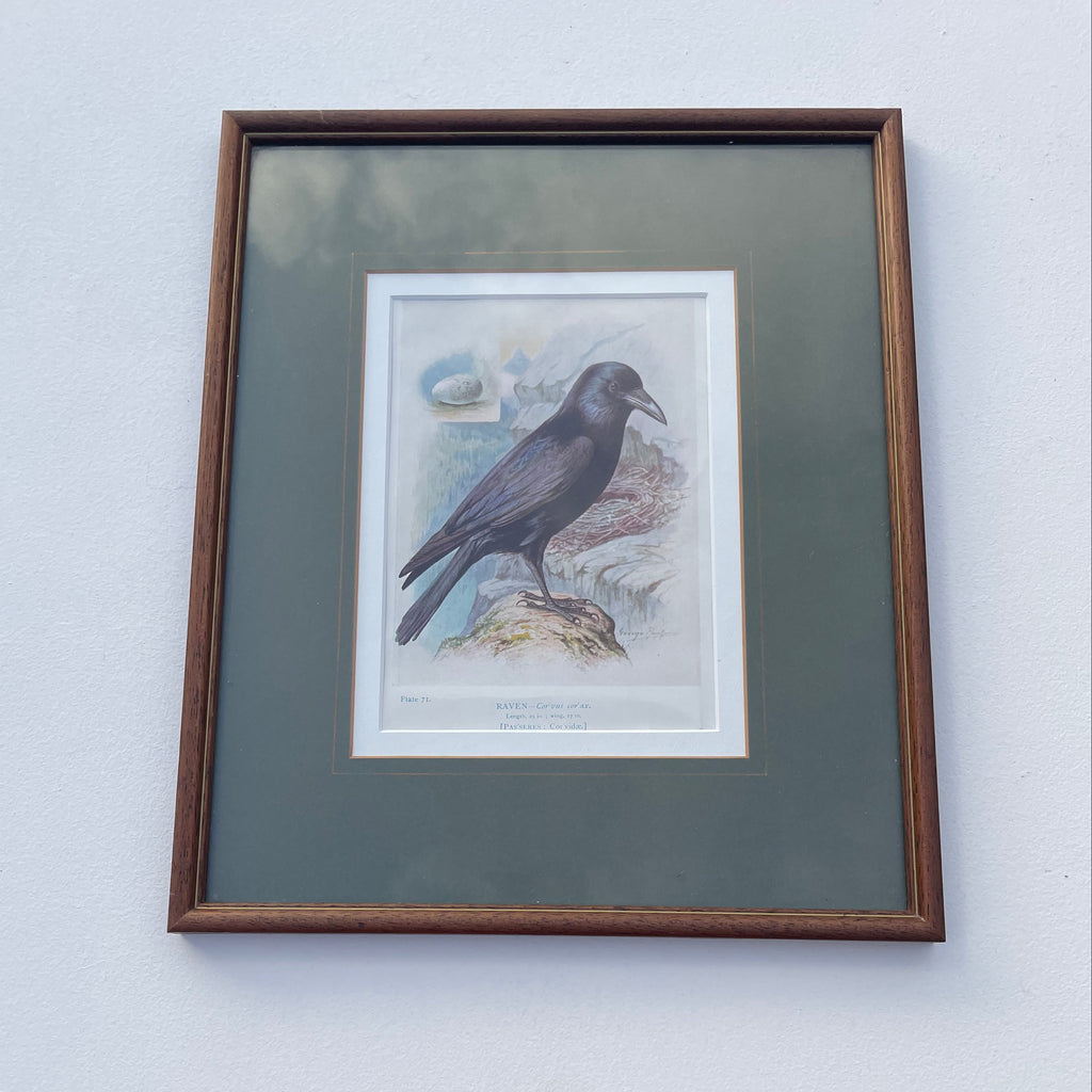 Raven Lithograph Plate