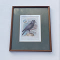 Raven Lithograph Plate