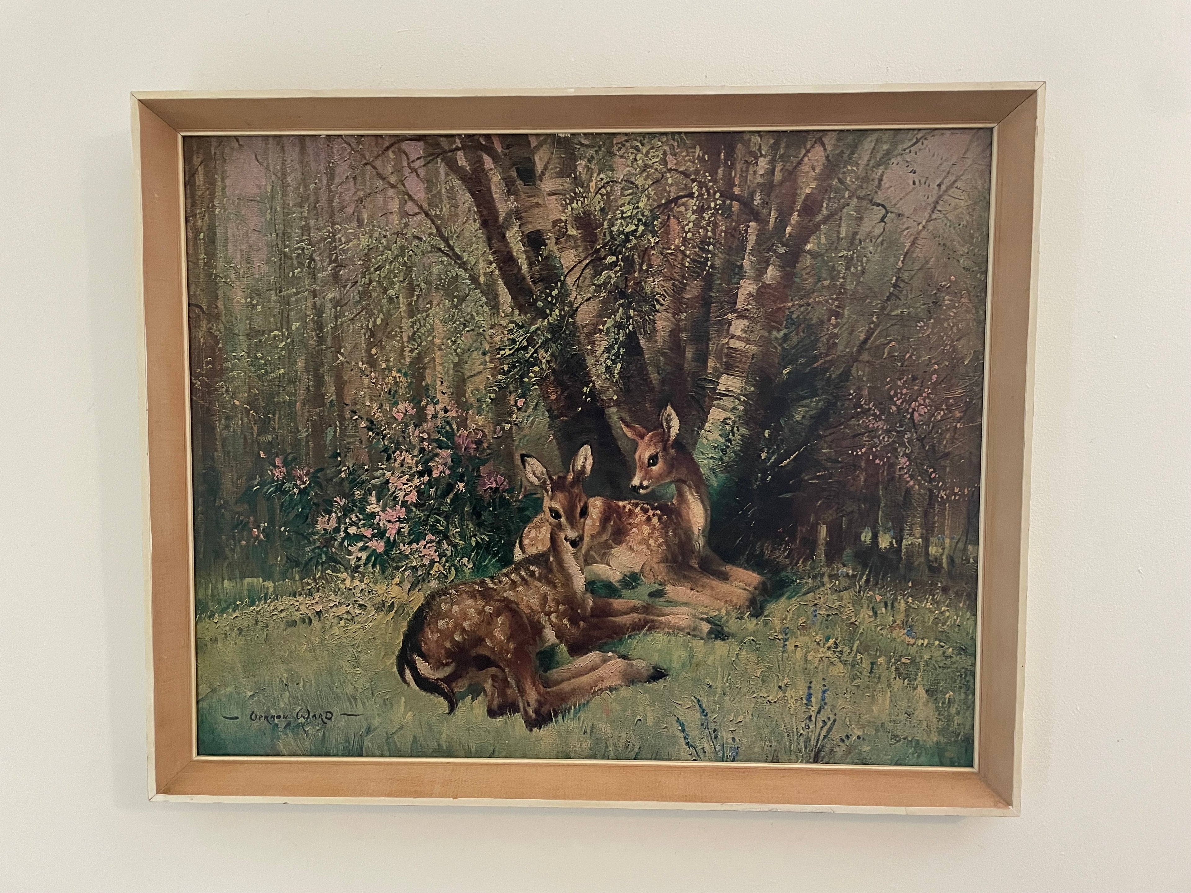 Vintage Vernon Ward Deer Print