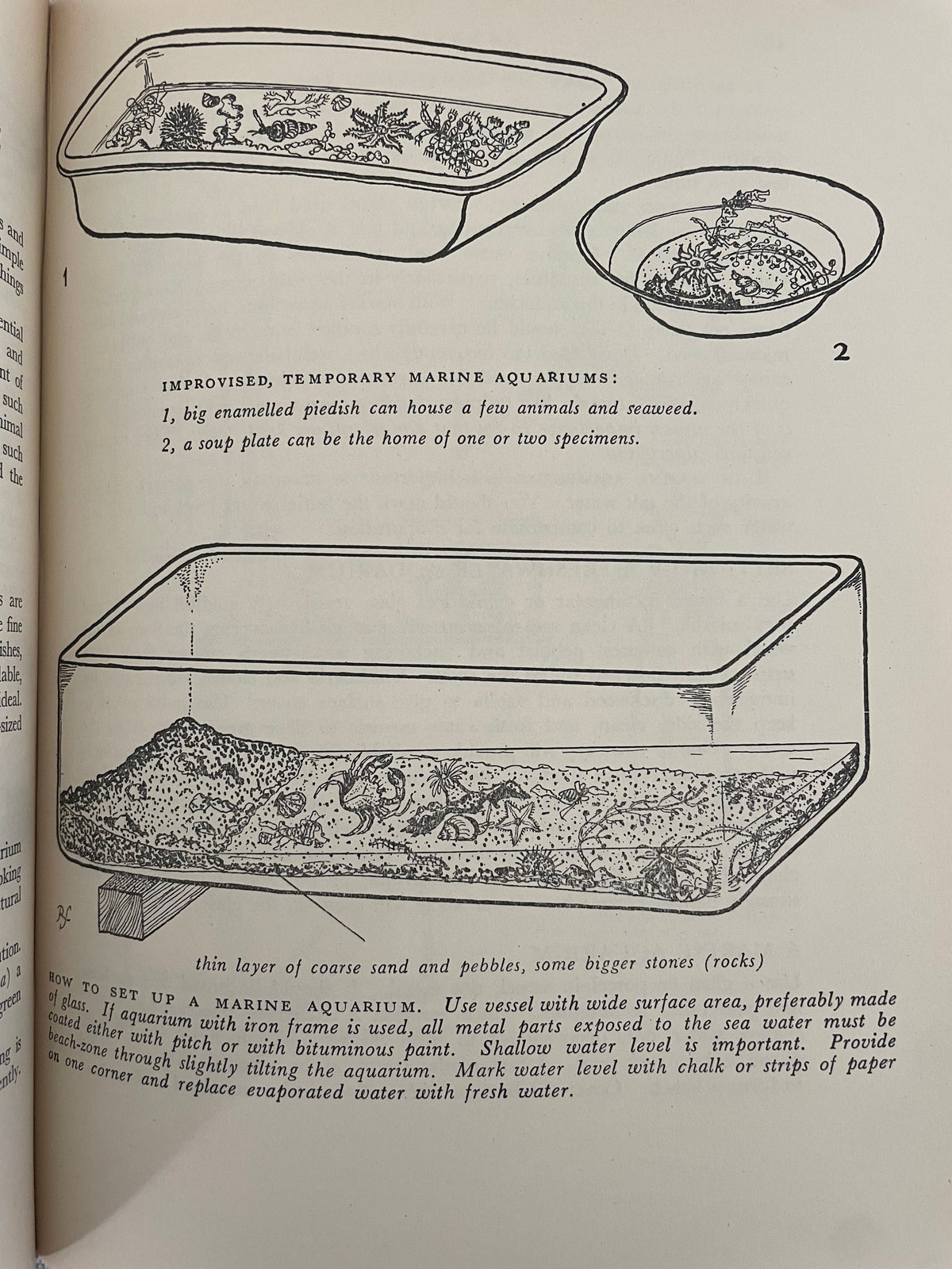 Vintage Nature Study Book