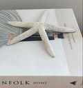 White Fingers Starfish