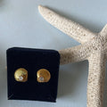 Clam Earrings