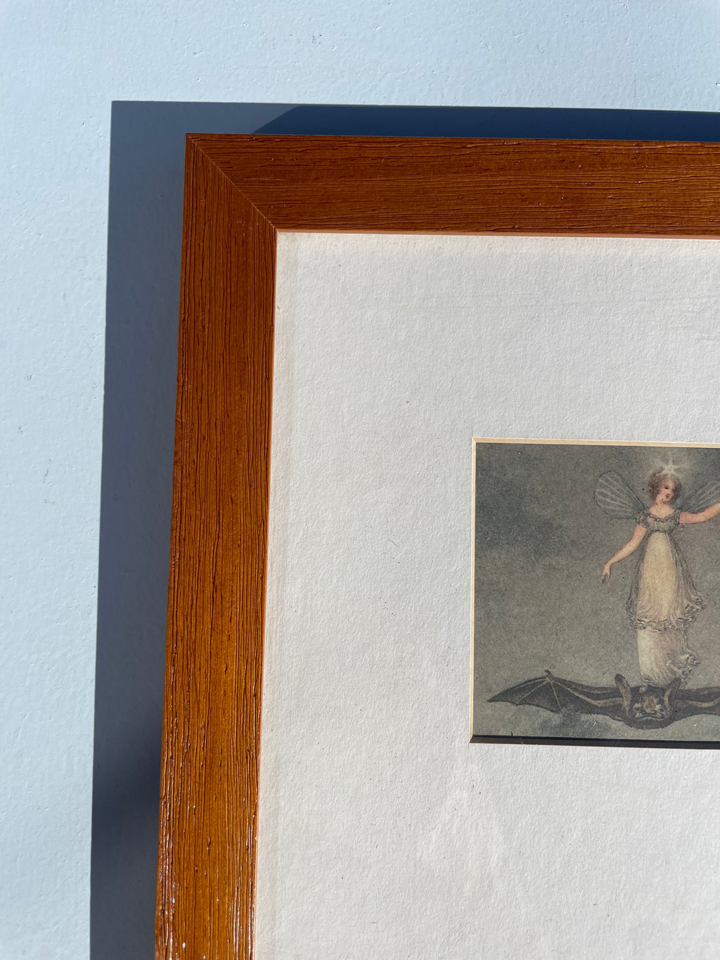 Fairy On A Bat Print