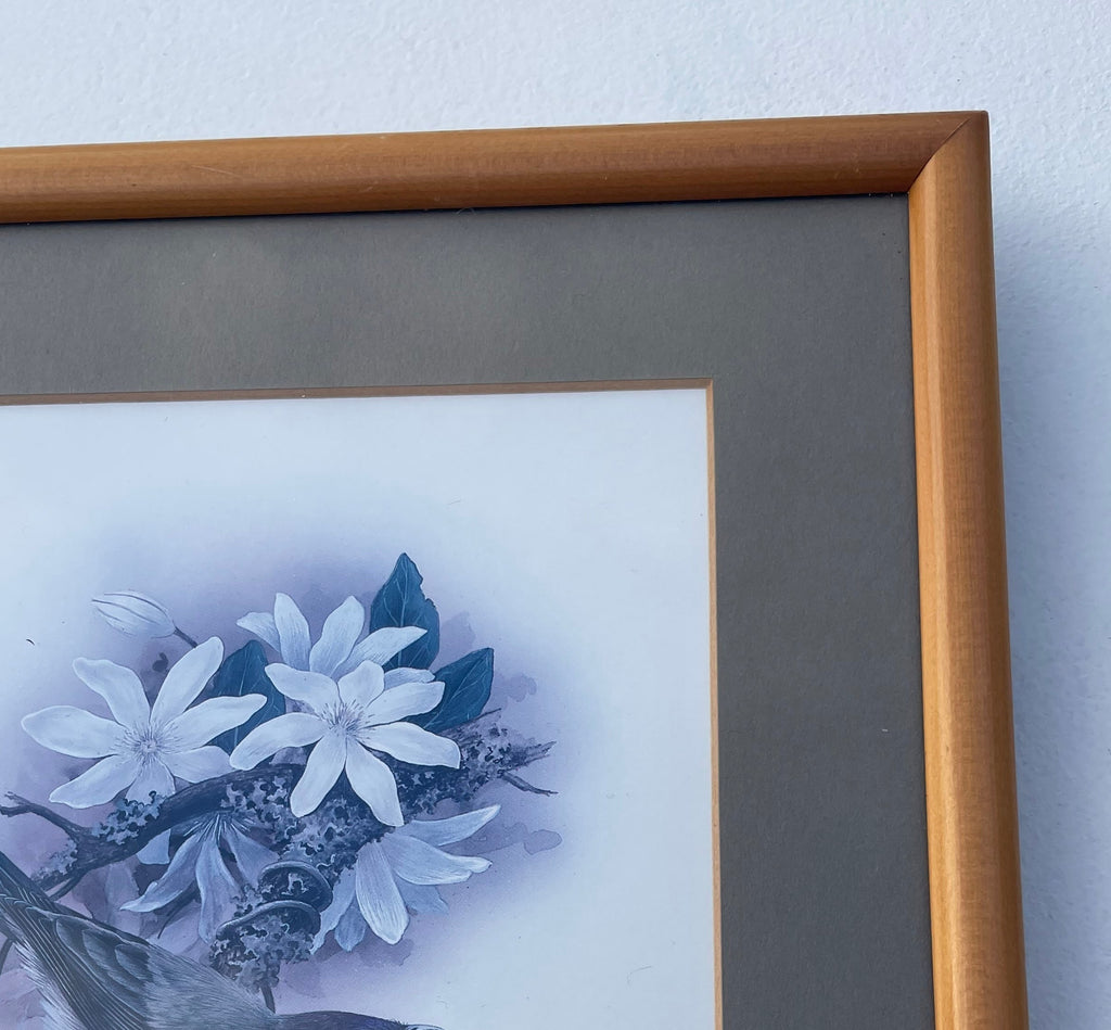 Vintage Korimako Bellbird Print