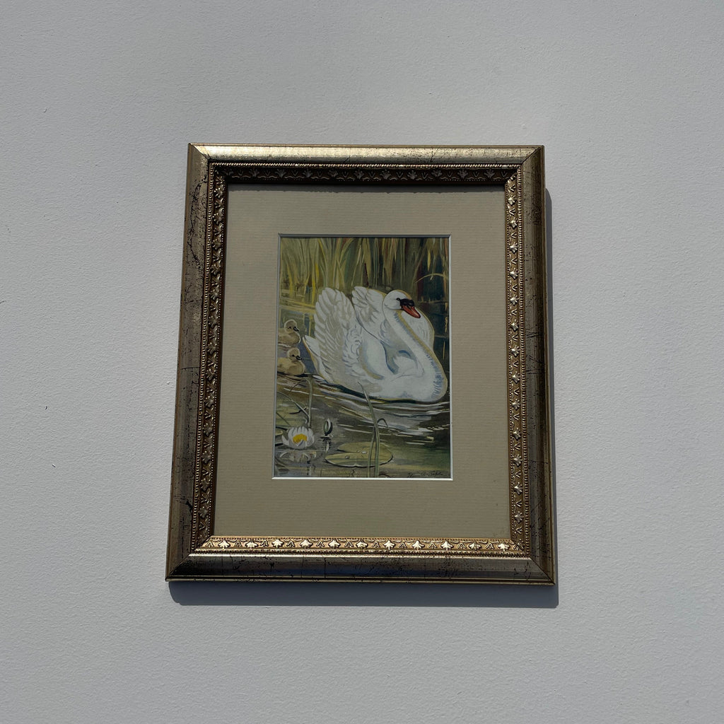Vintage Swan Family Print