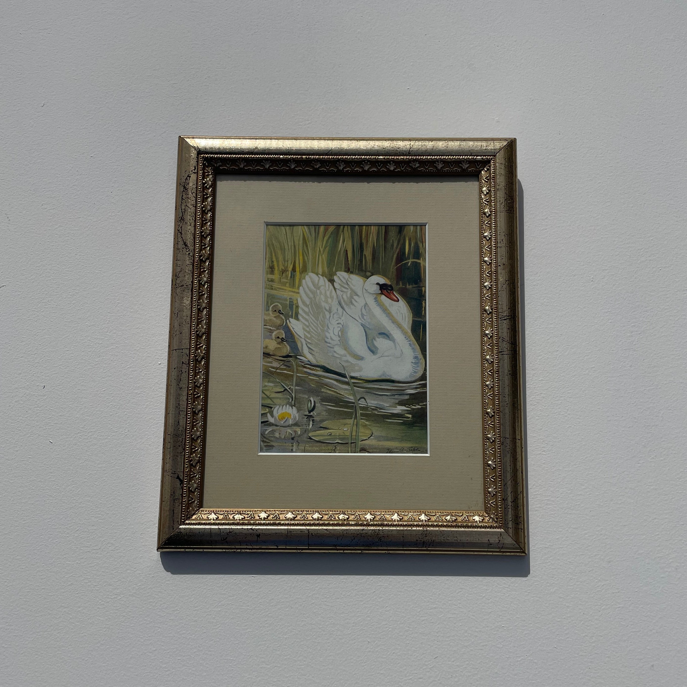 Vintage Swan Family Print