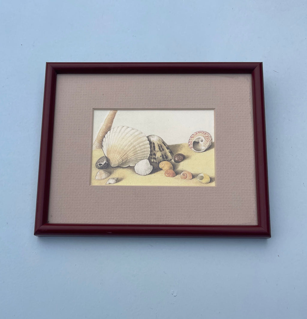 Vintage Shell Print