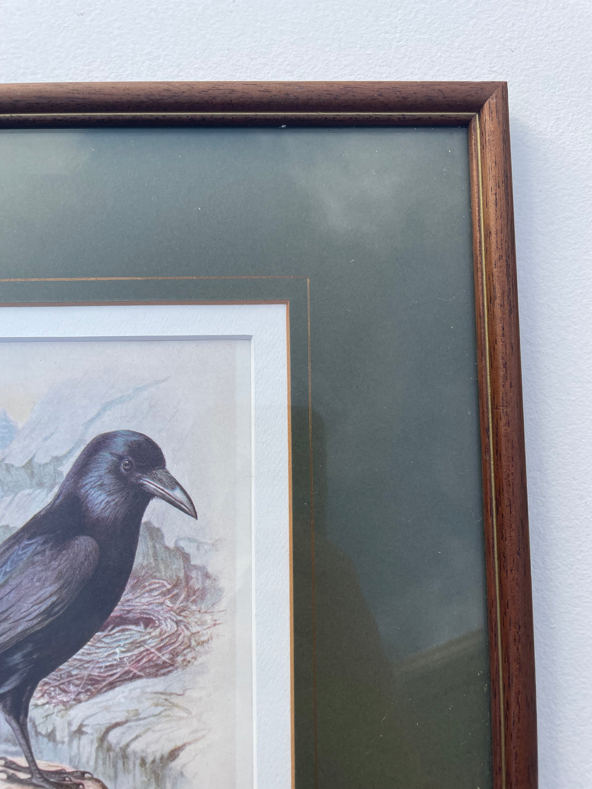 Raven Lithograph Plate