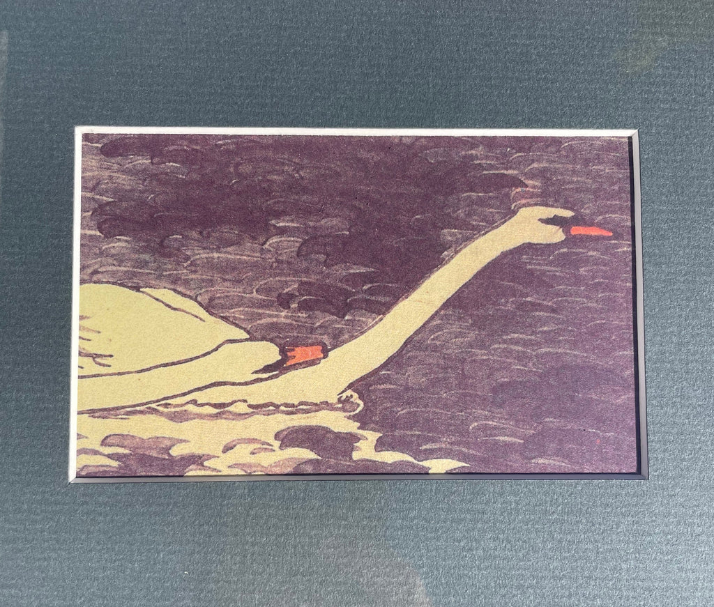 Framed Swan Print