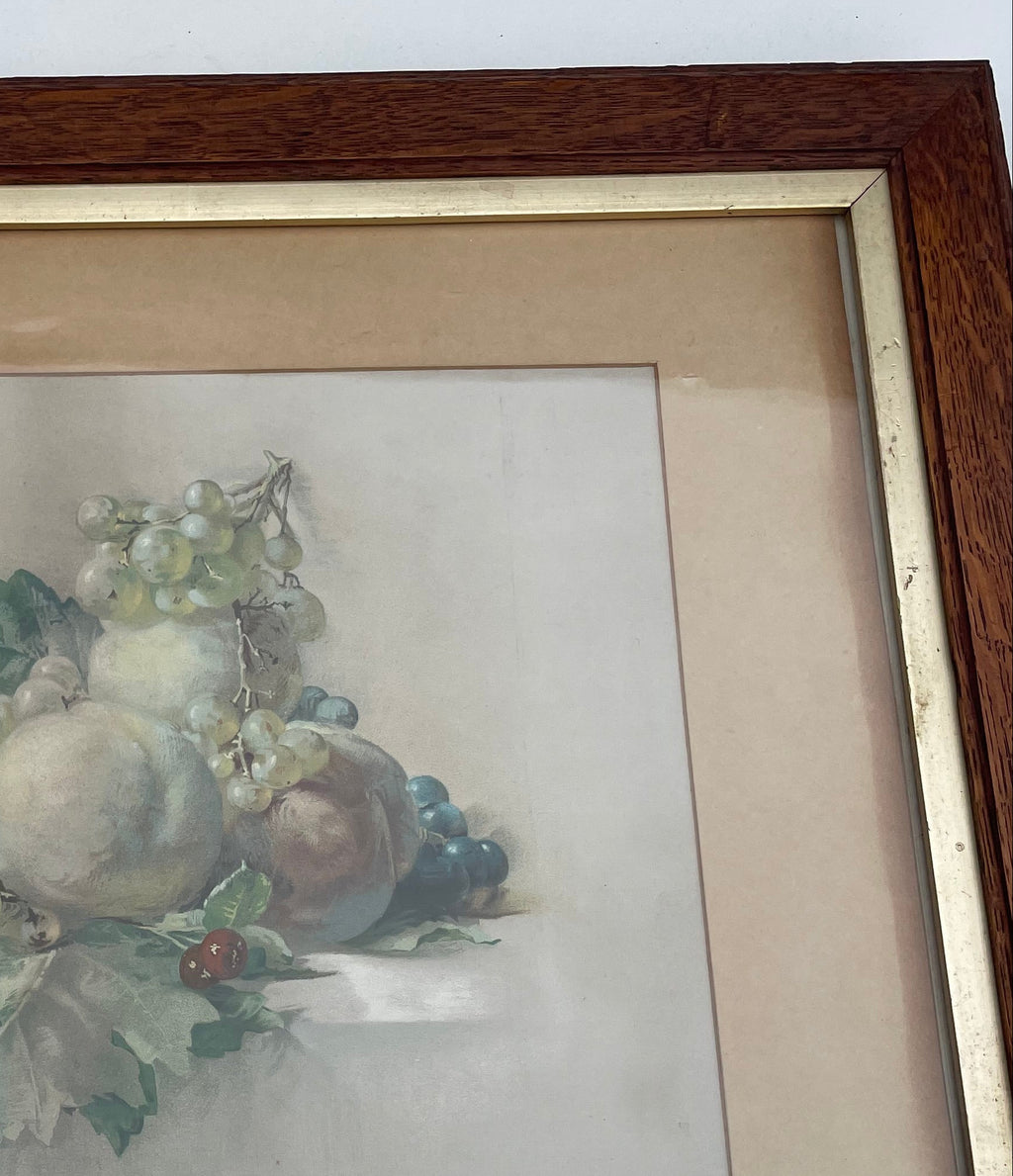 Antique Still Life With Grapes