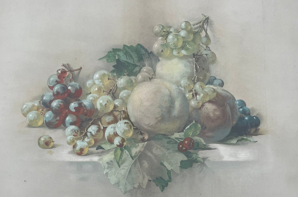 Antique Still Life With Grapes