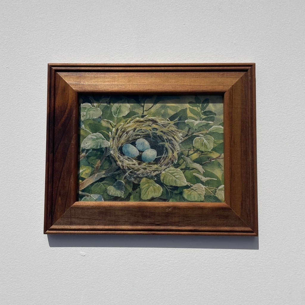 Bird's Nest Print