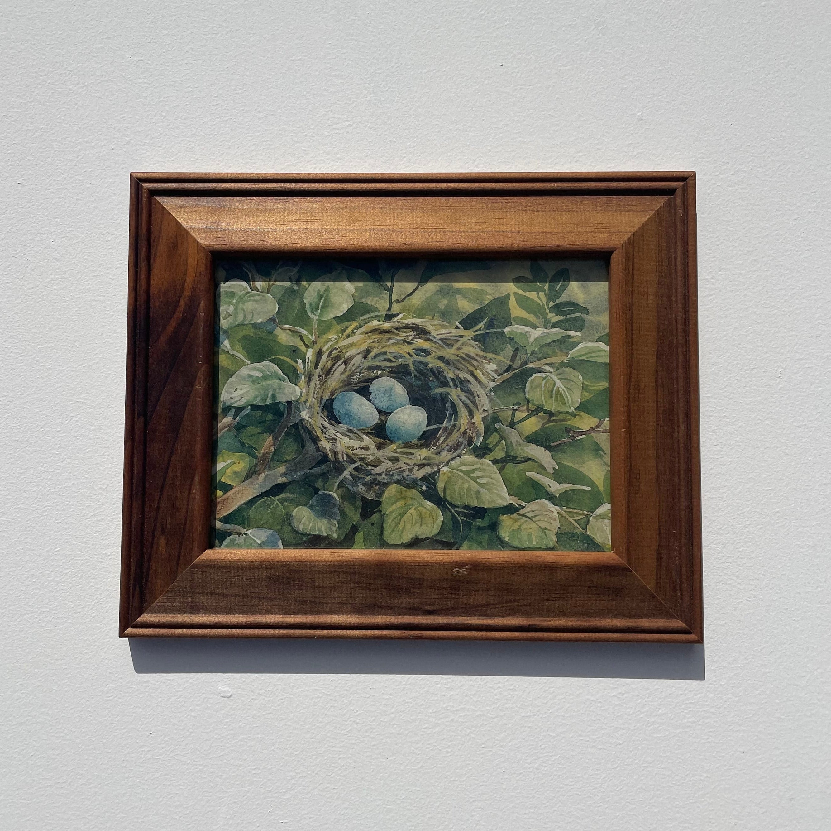 Bird's Nest Print