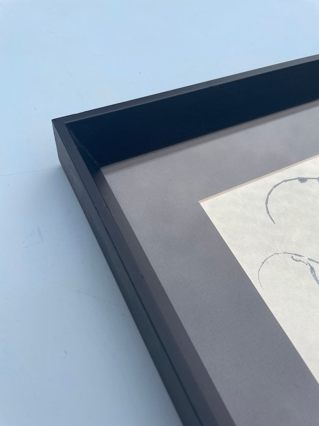 Beetle Print