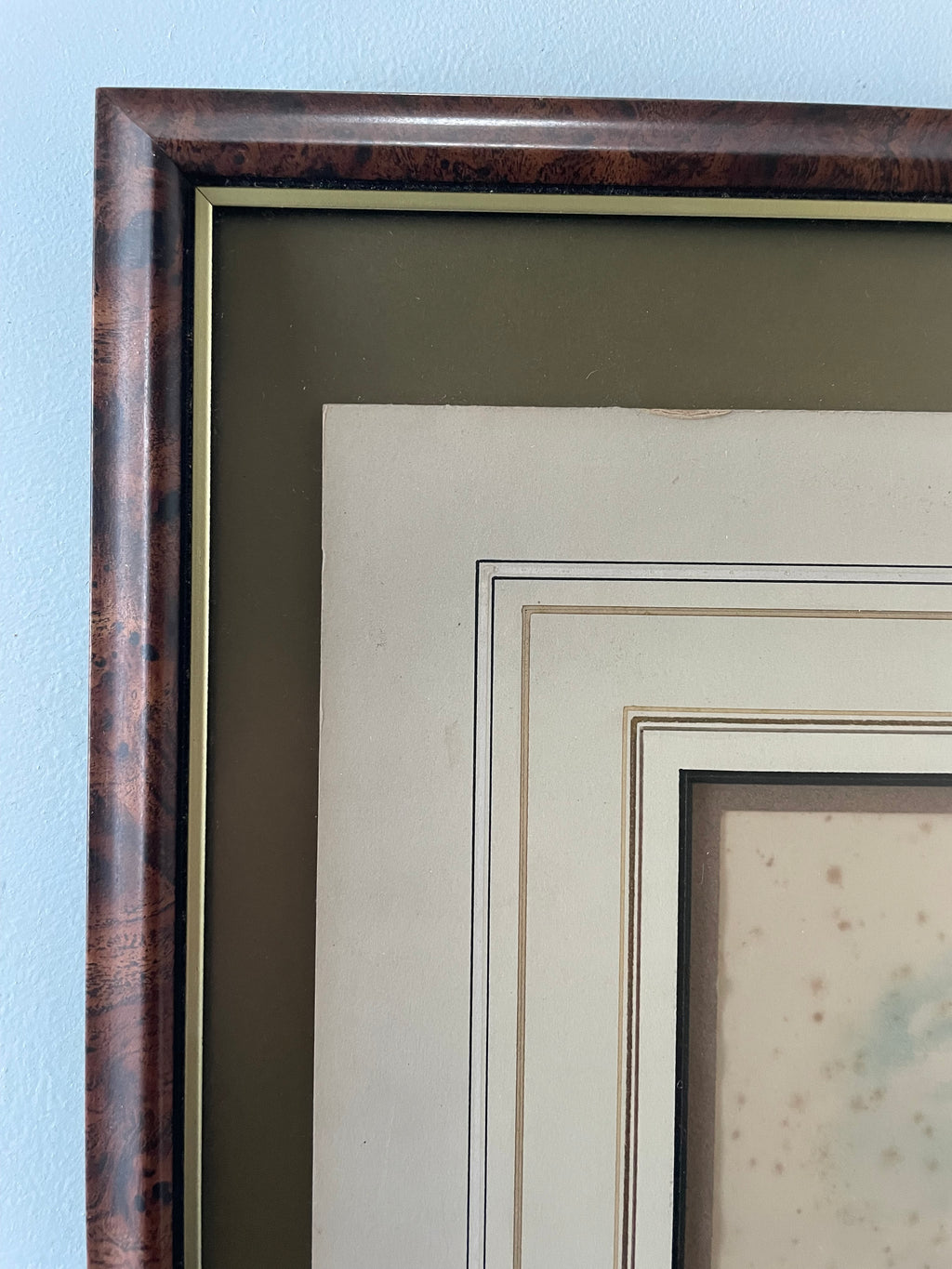 Antique Ibis Lithograph