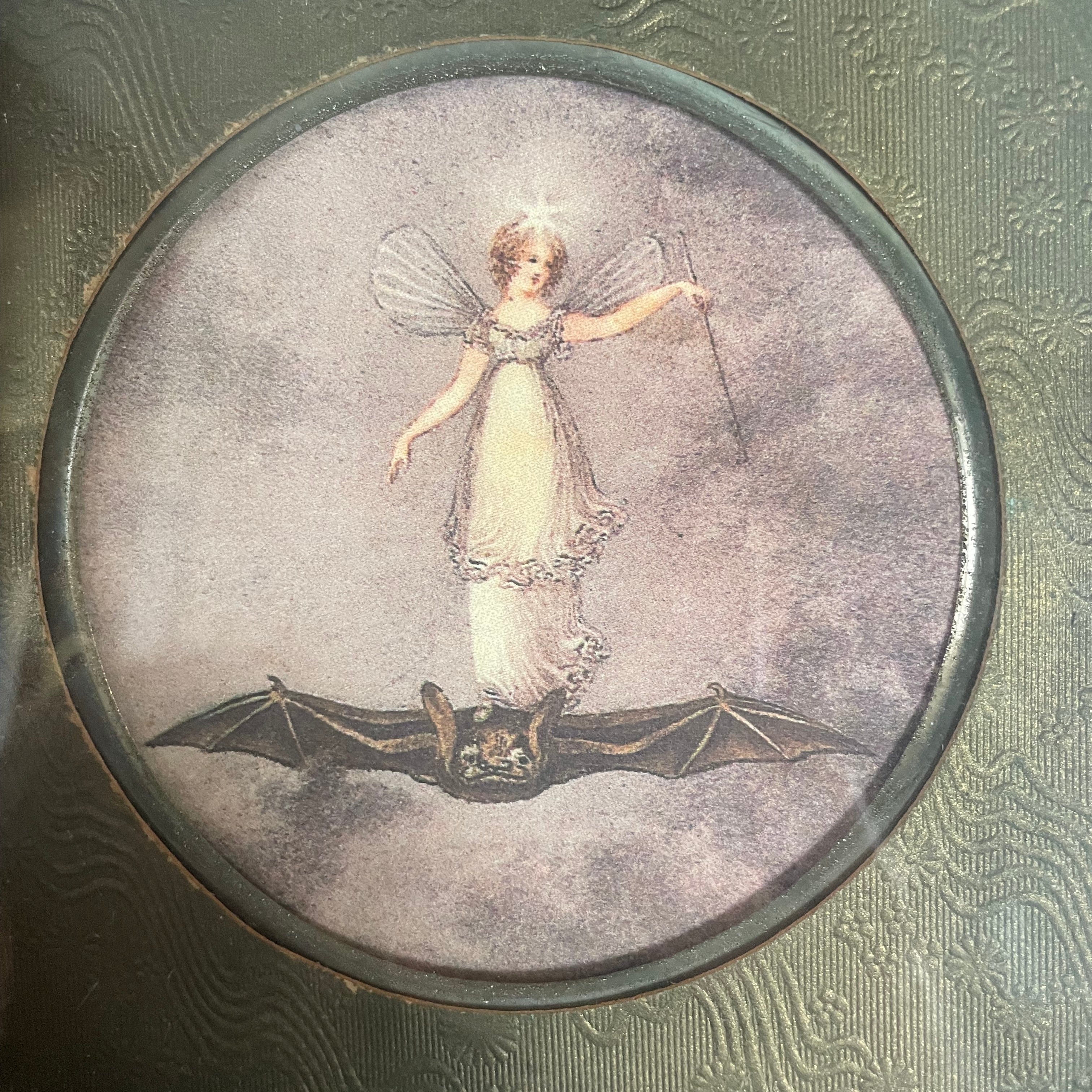 Fairy On A Bat