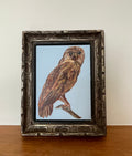 Owl Painting