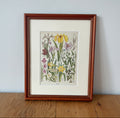 Iris Specimens Print