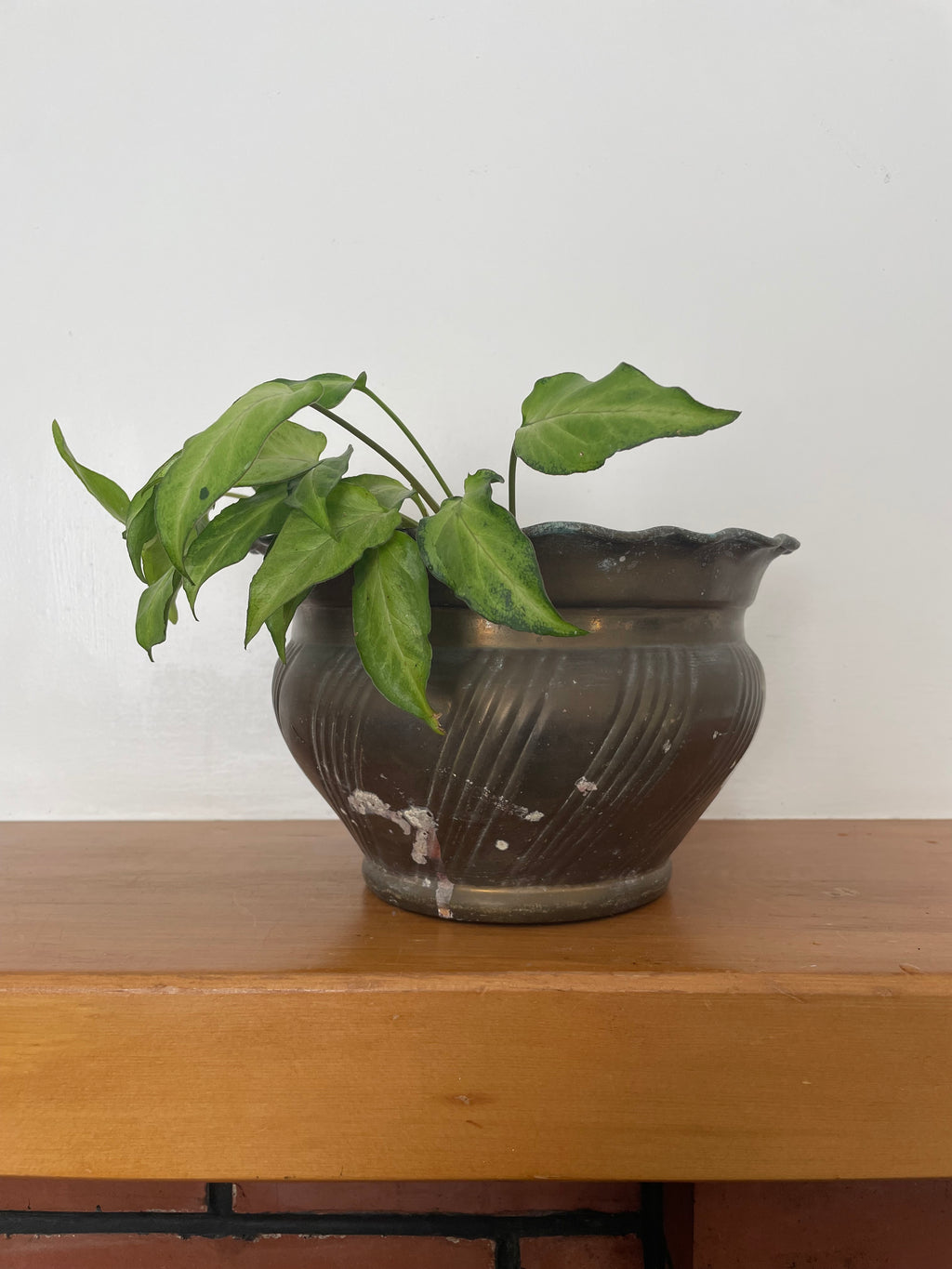 Vintage Brass Planter
