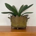 Ball Footed Sheet Metal Planter