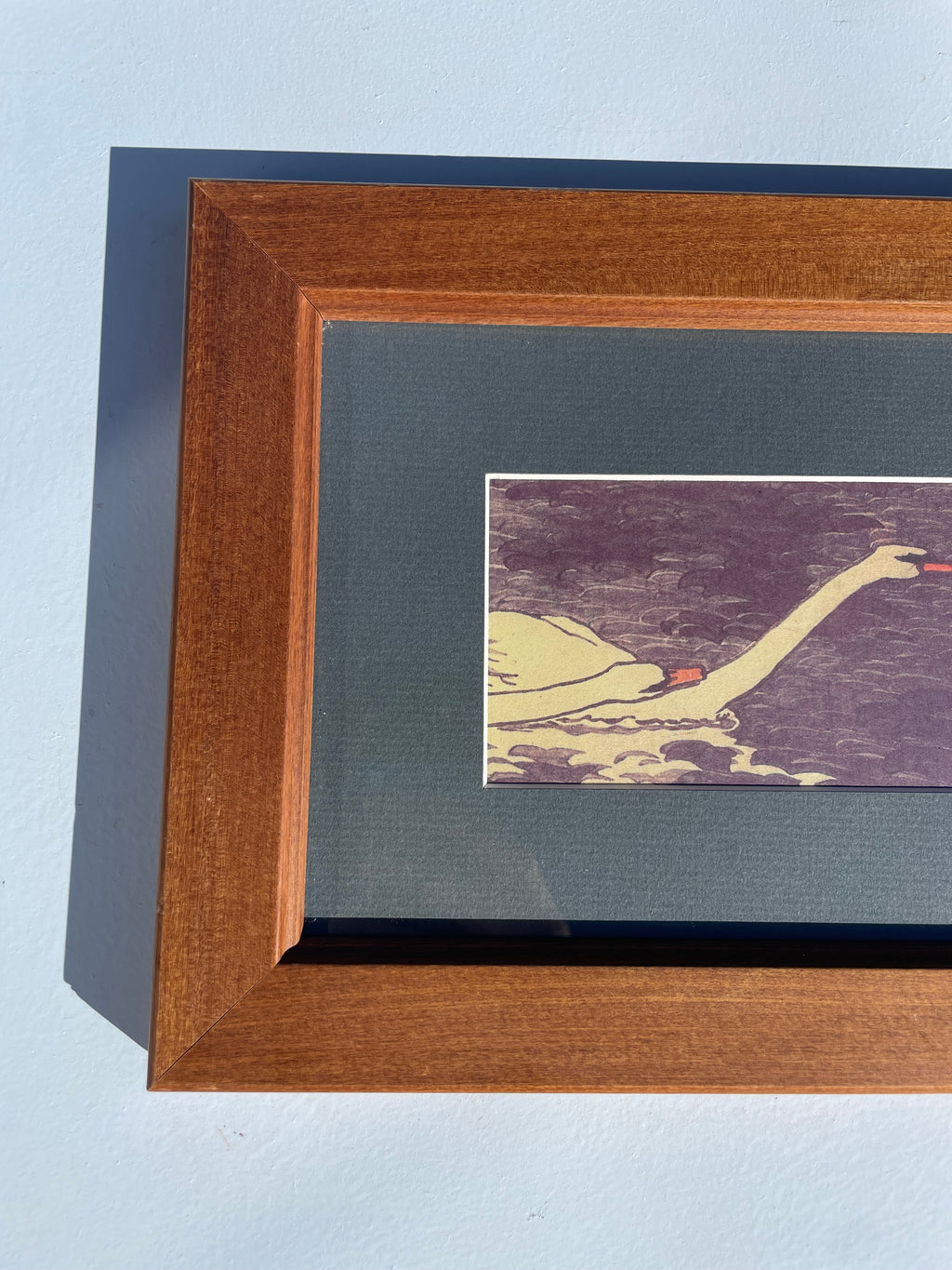 Framed Swan Print
