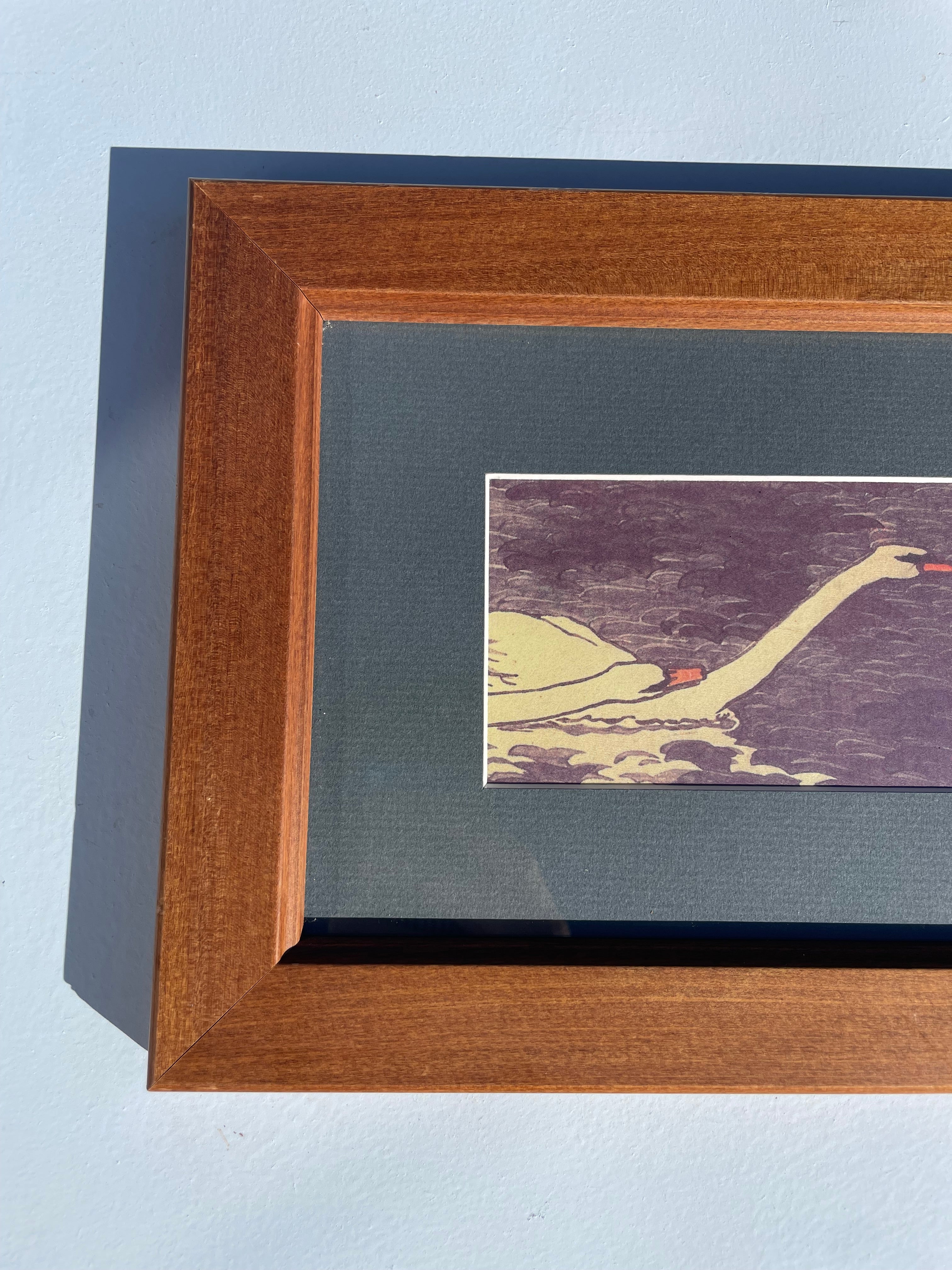 Framed Swan Print