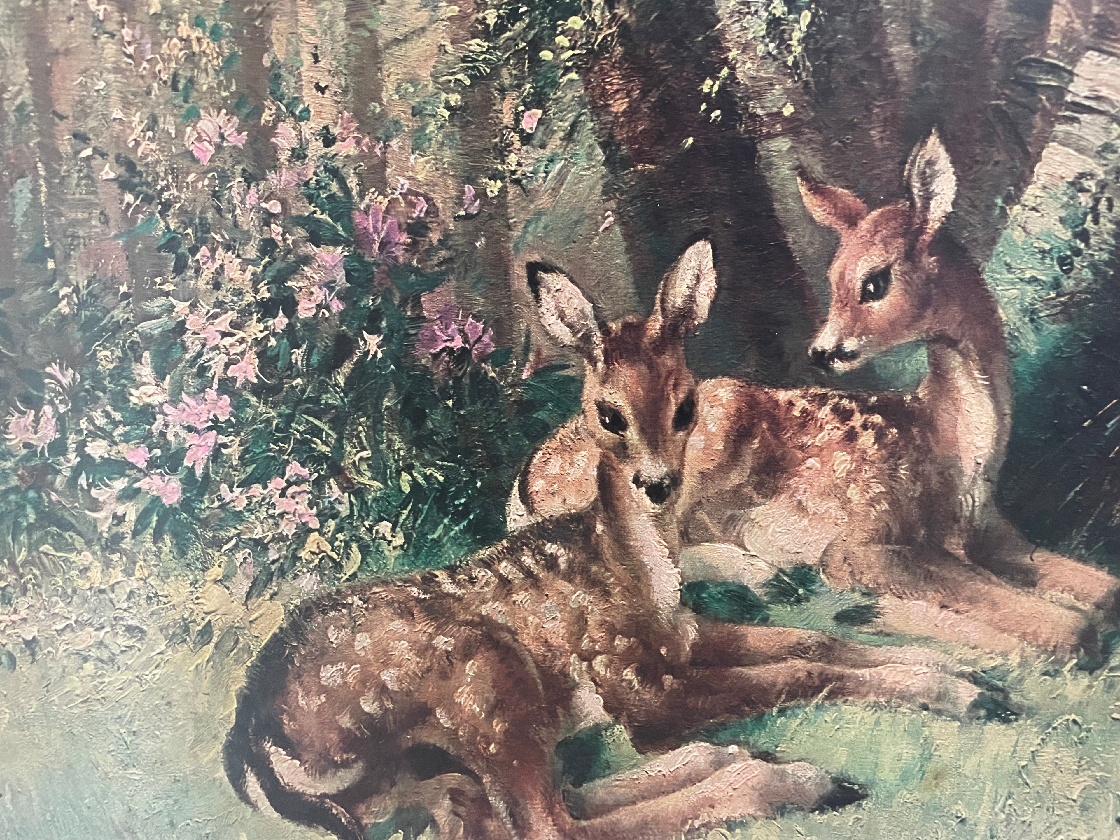 Vintage Vernon Ward Deer Print