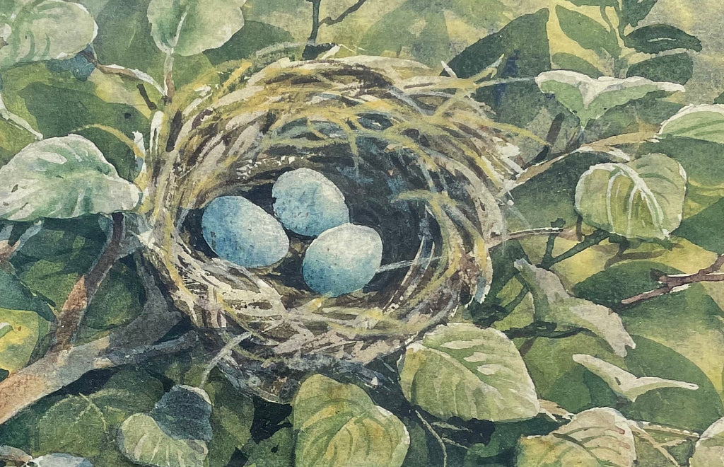 Bird's Nest Print