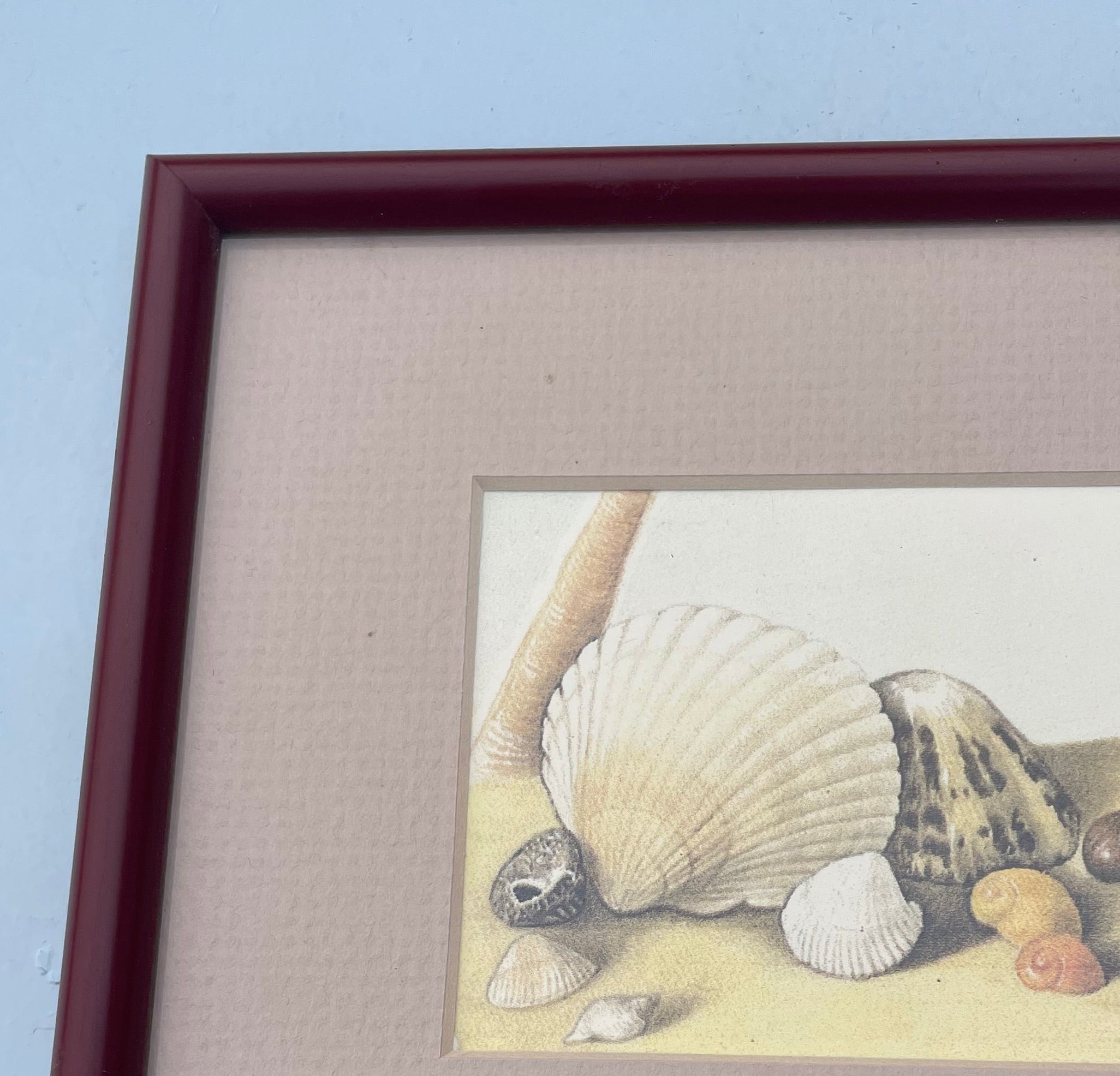 Vintage Shell Print