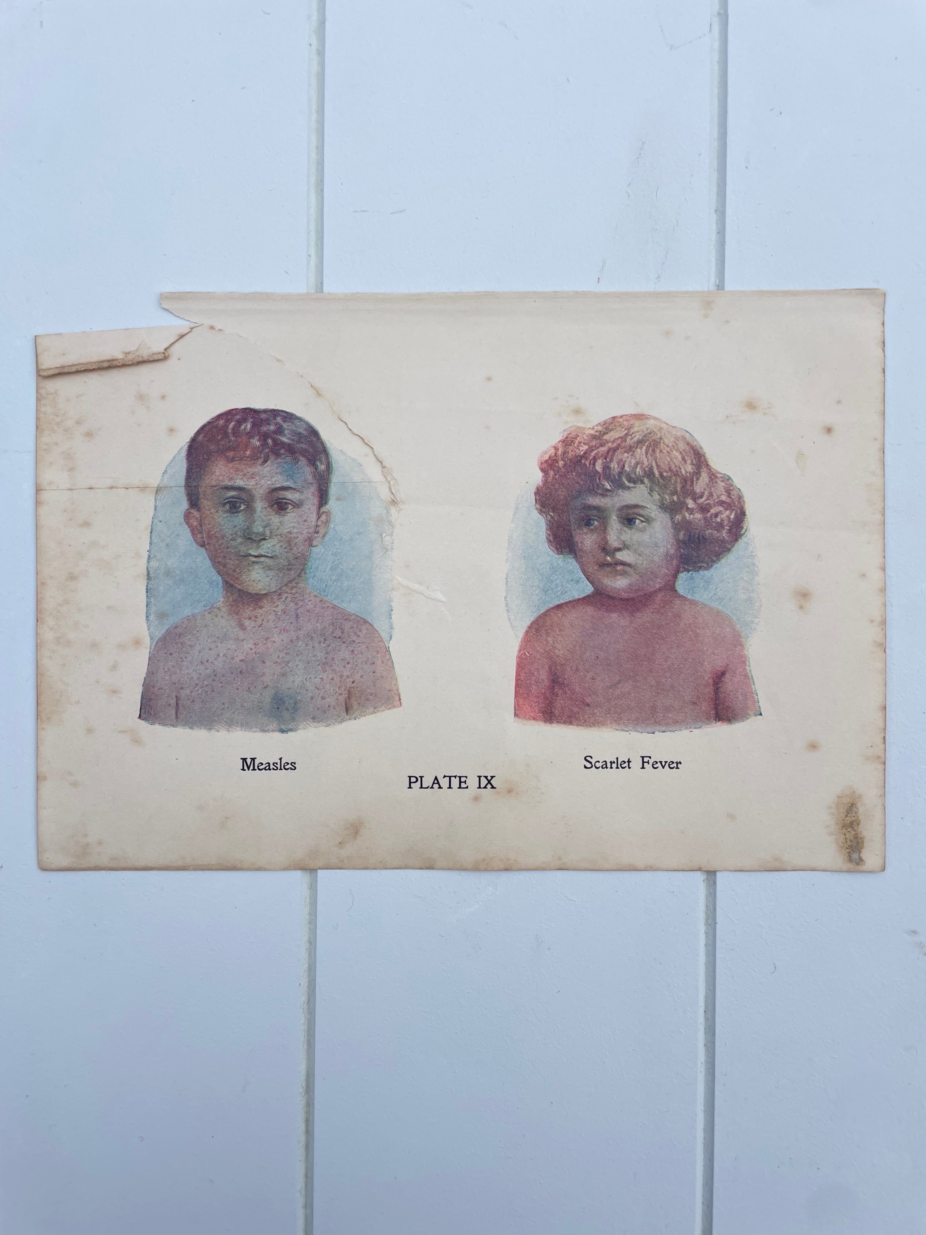 Antique Medical Plates
