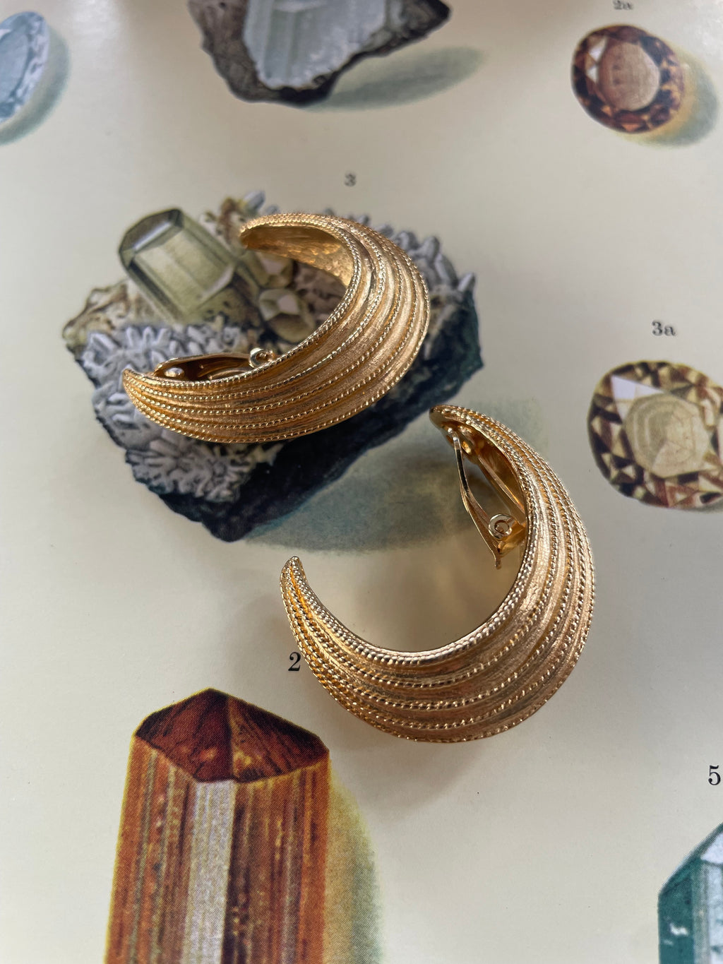 Goldtone Ridged Clip On Earrings
