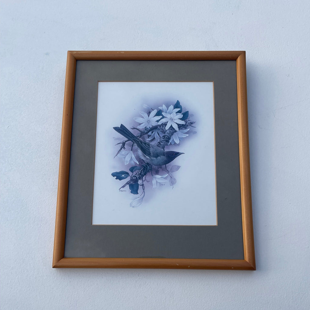 Vintage Korimako Bellbird Print