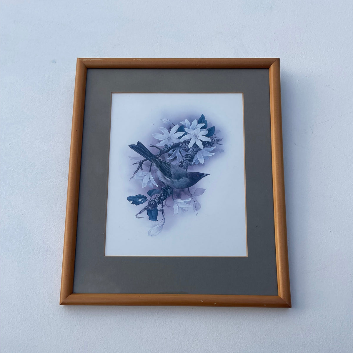 Vintage Korimako Bellbird Print