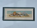 Vintage Shells Print
