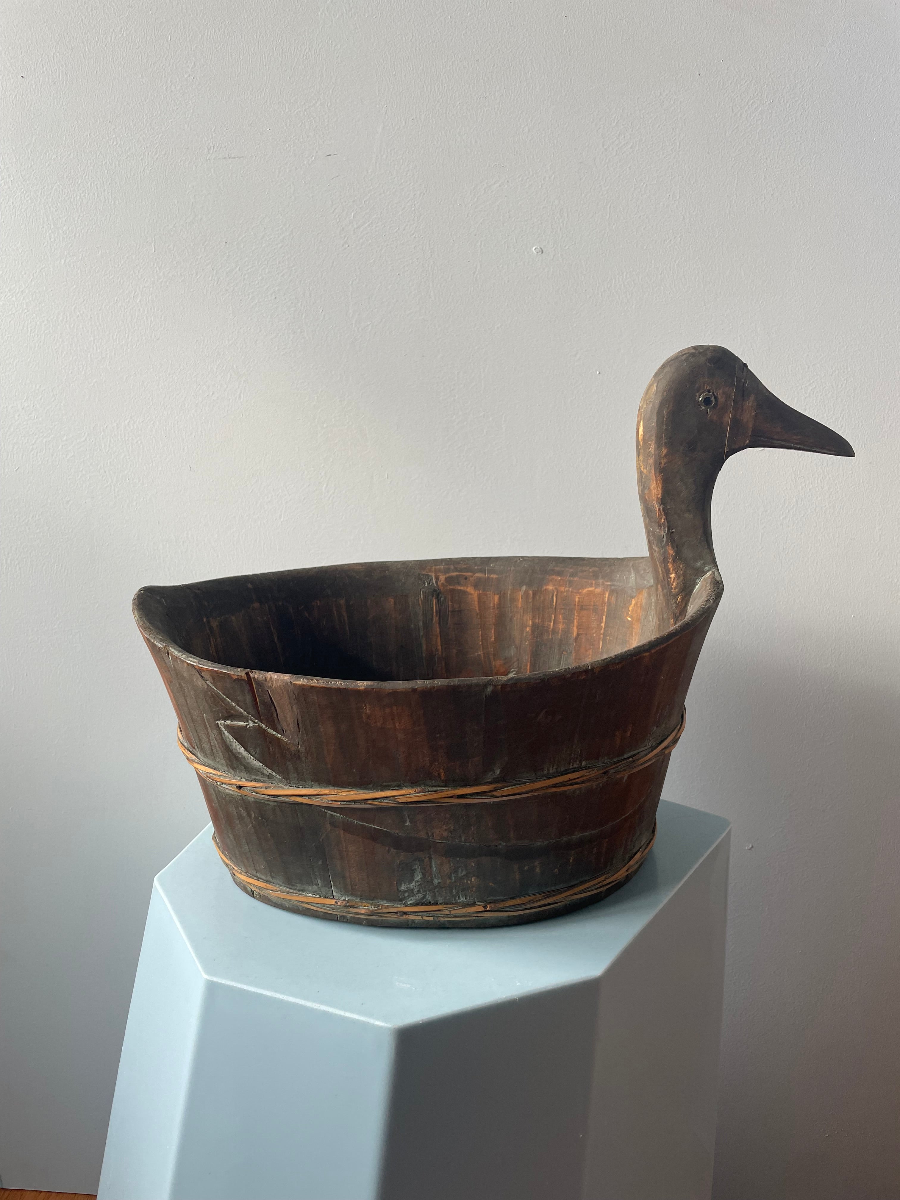 Qwirky Duck Planter