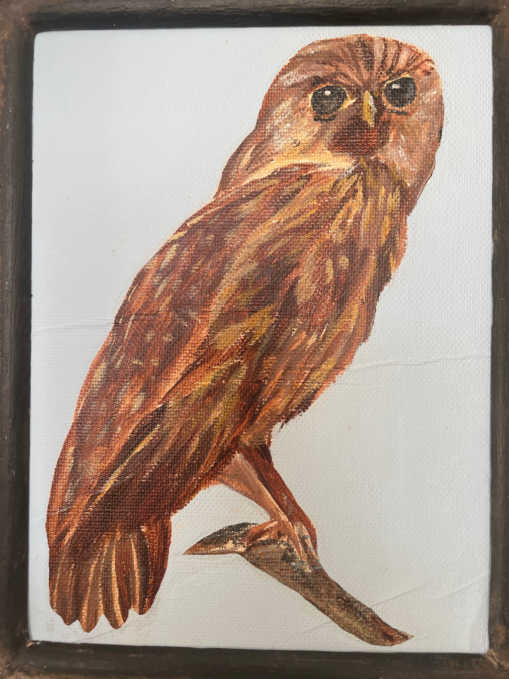 Owl Painting