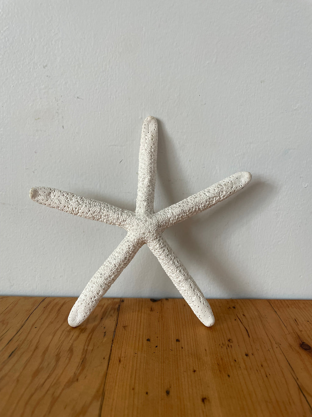 White Fingers Starfish