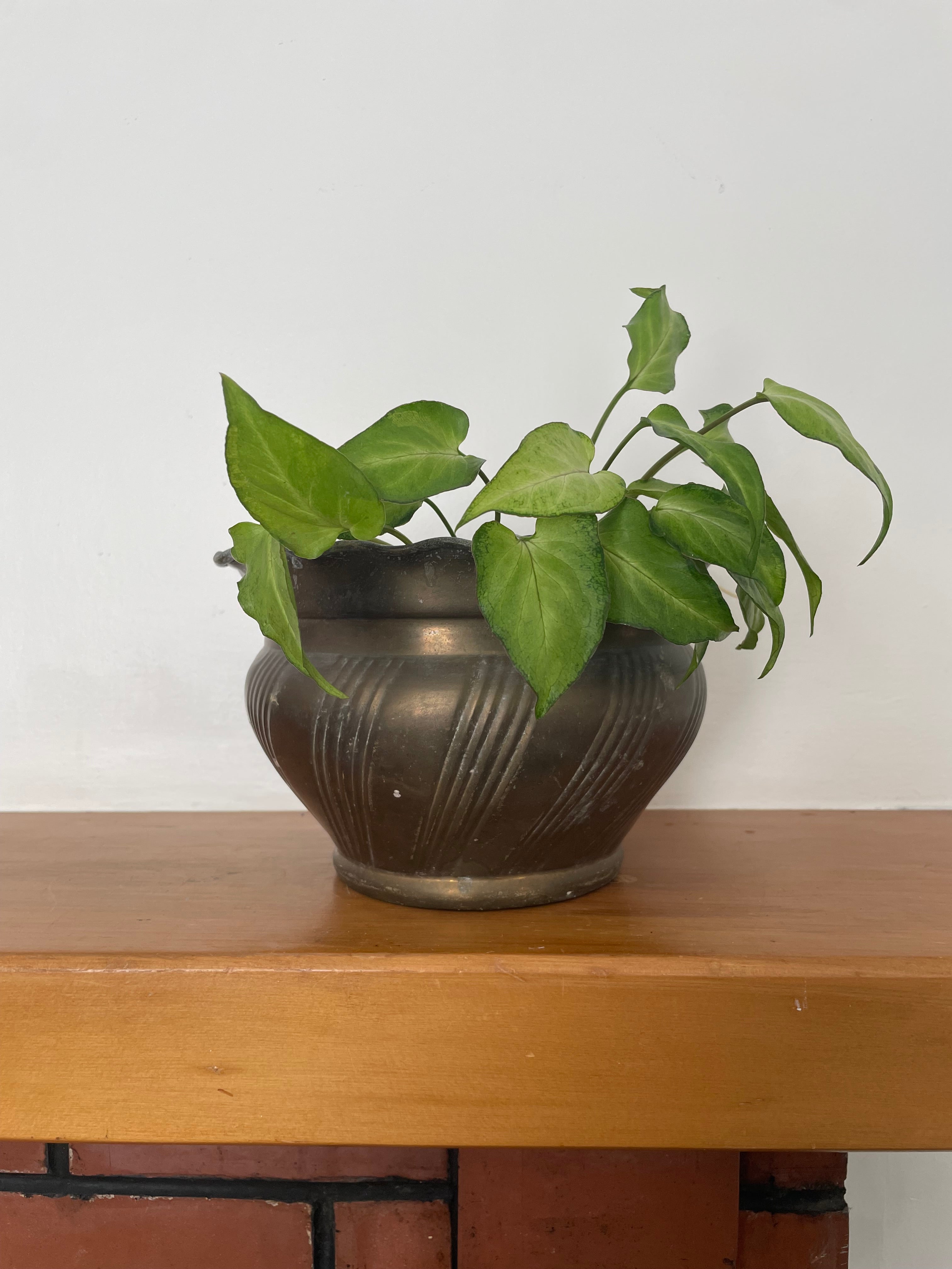 Vintage Brass Planter