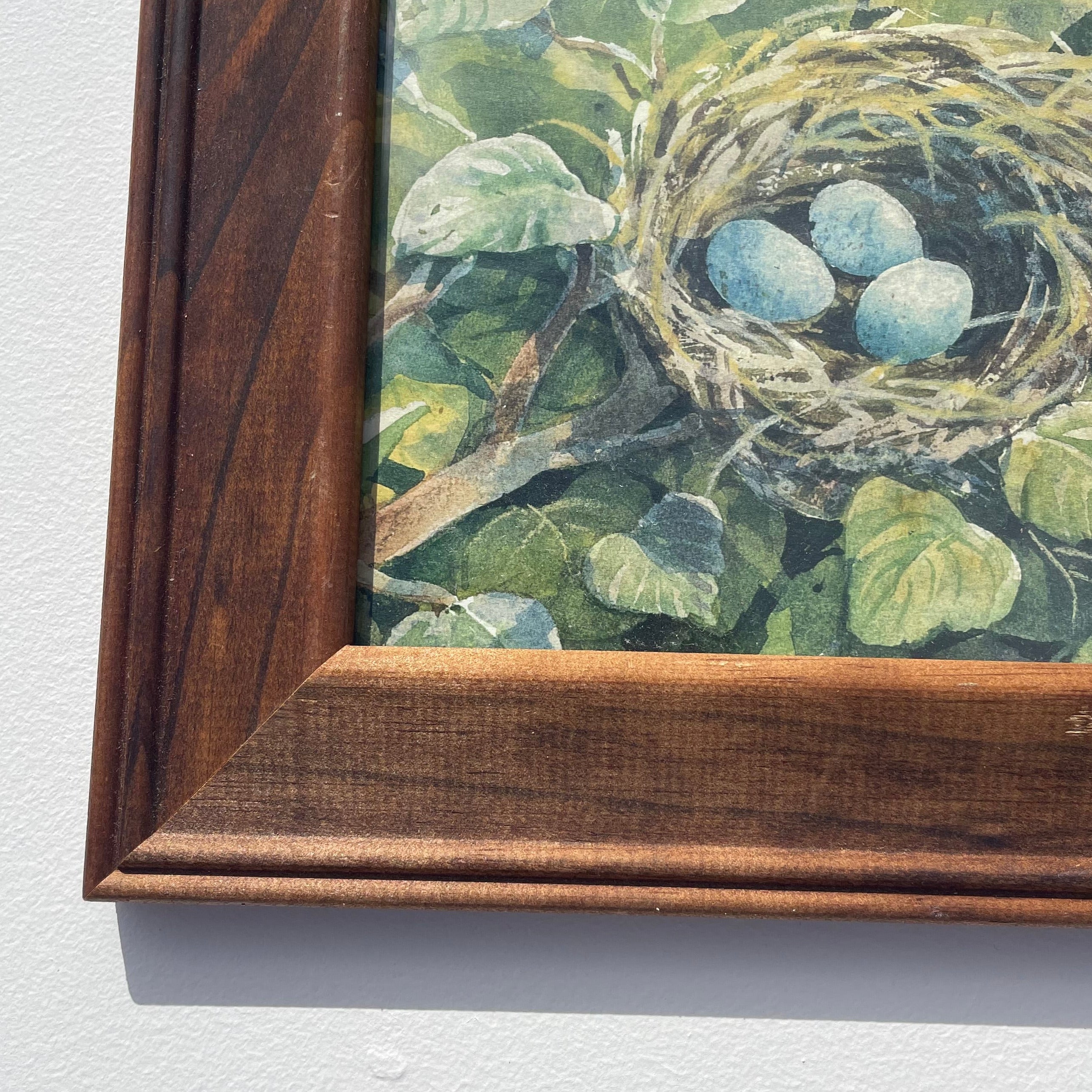 Bird's Nest Print