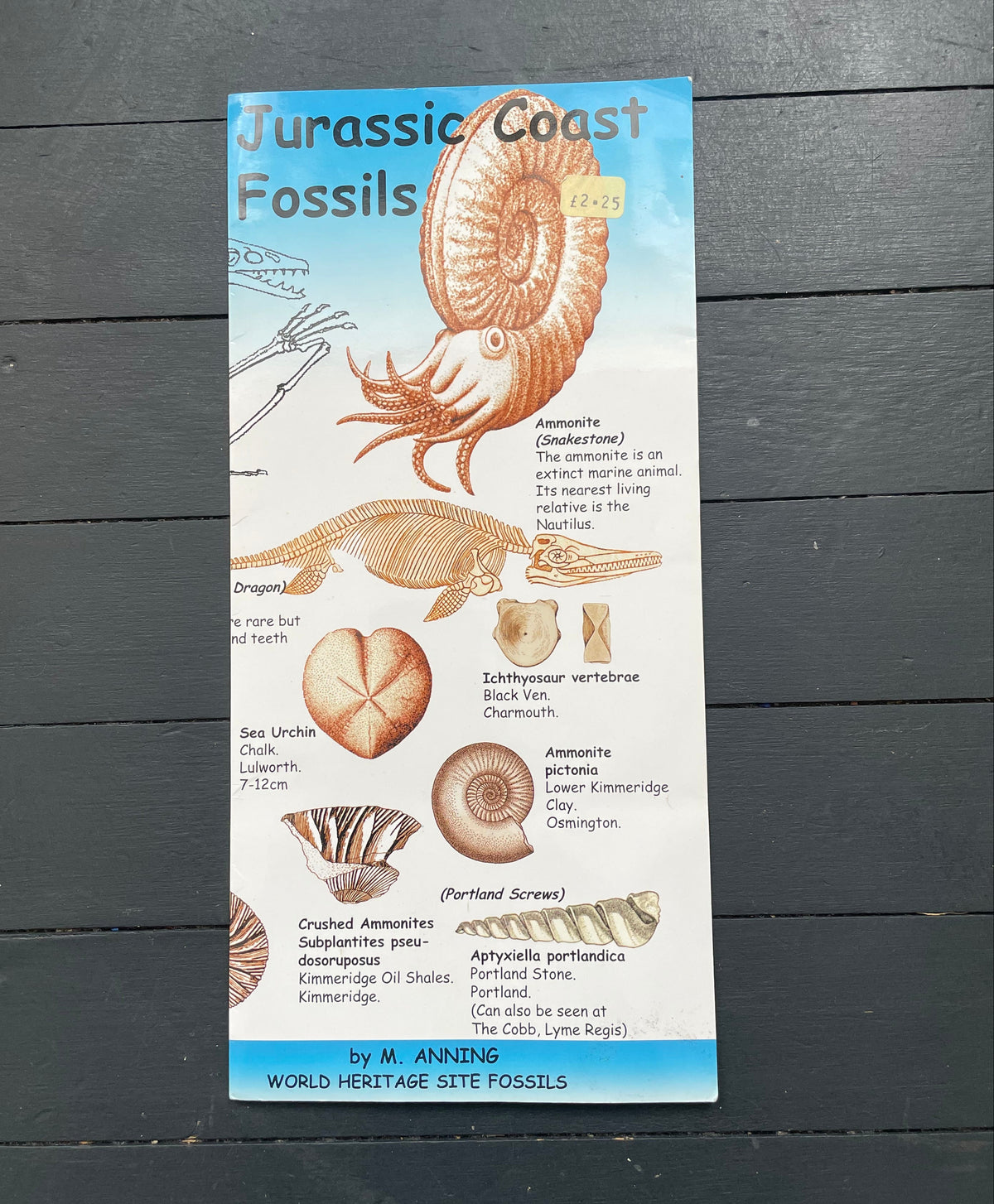Vintage Fossils Pamplet Poster