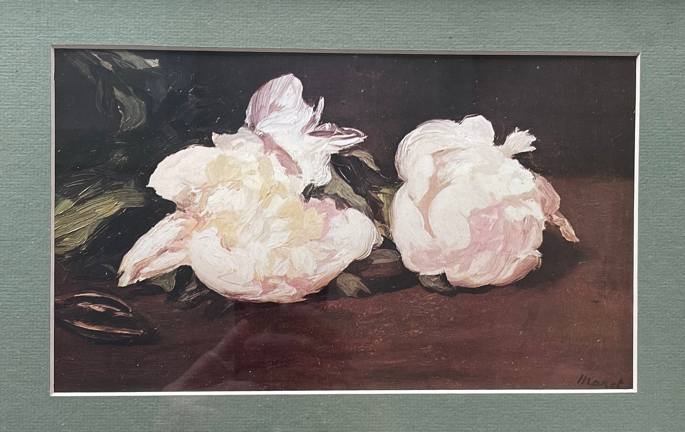 Manet White Peonies Print
