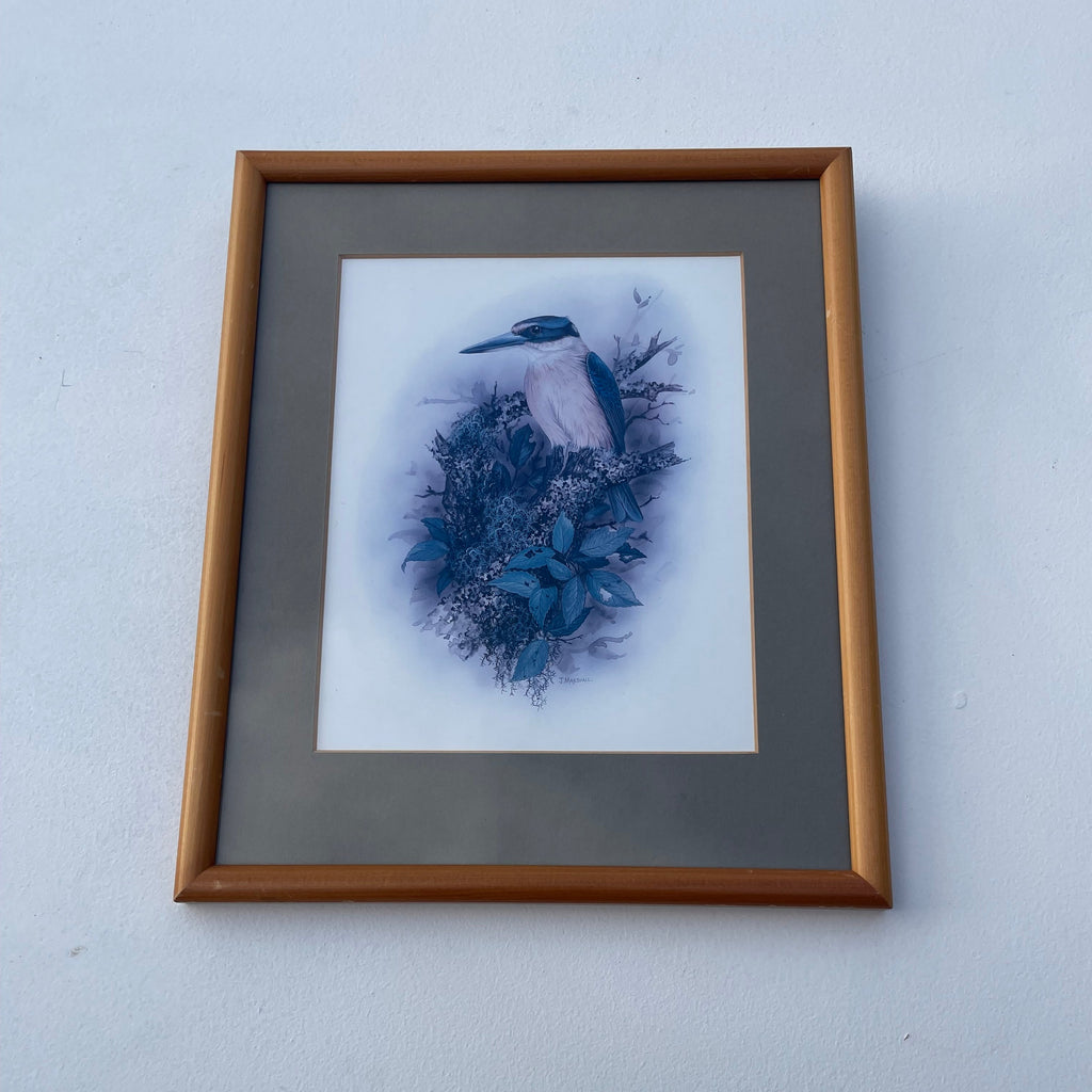 Vintage Kotare Kingfisher Print