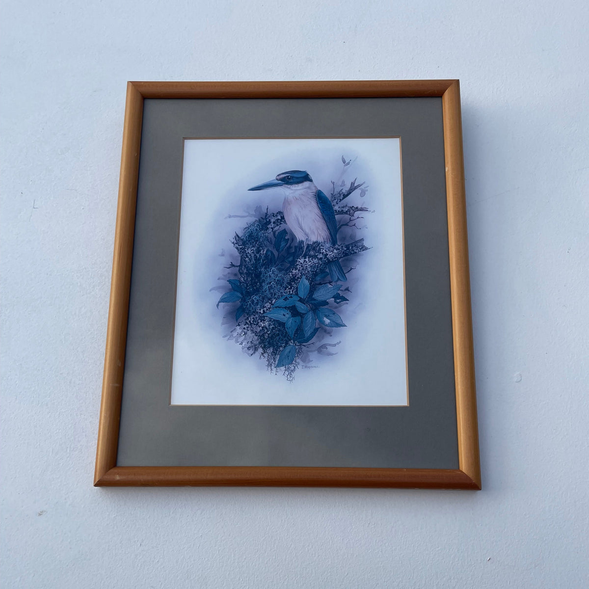 Vintage Kotare Kingfisher Print