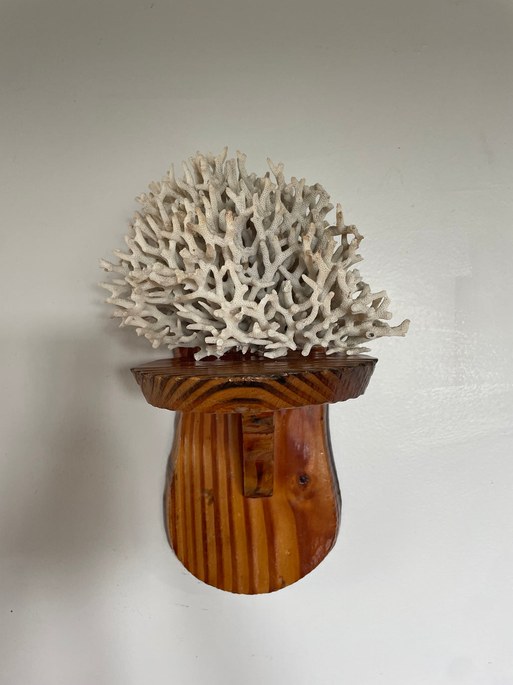 Small Wooden Curio Shelf