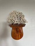Small Wooden Curio Shelf