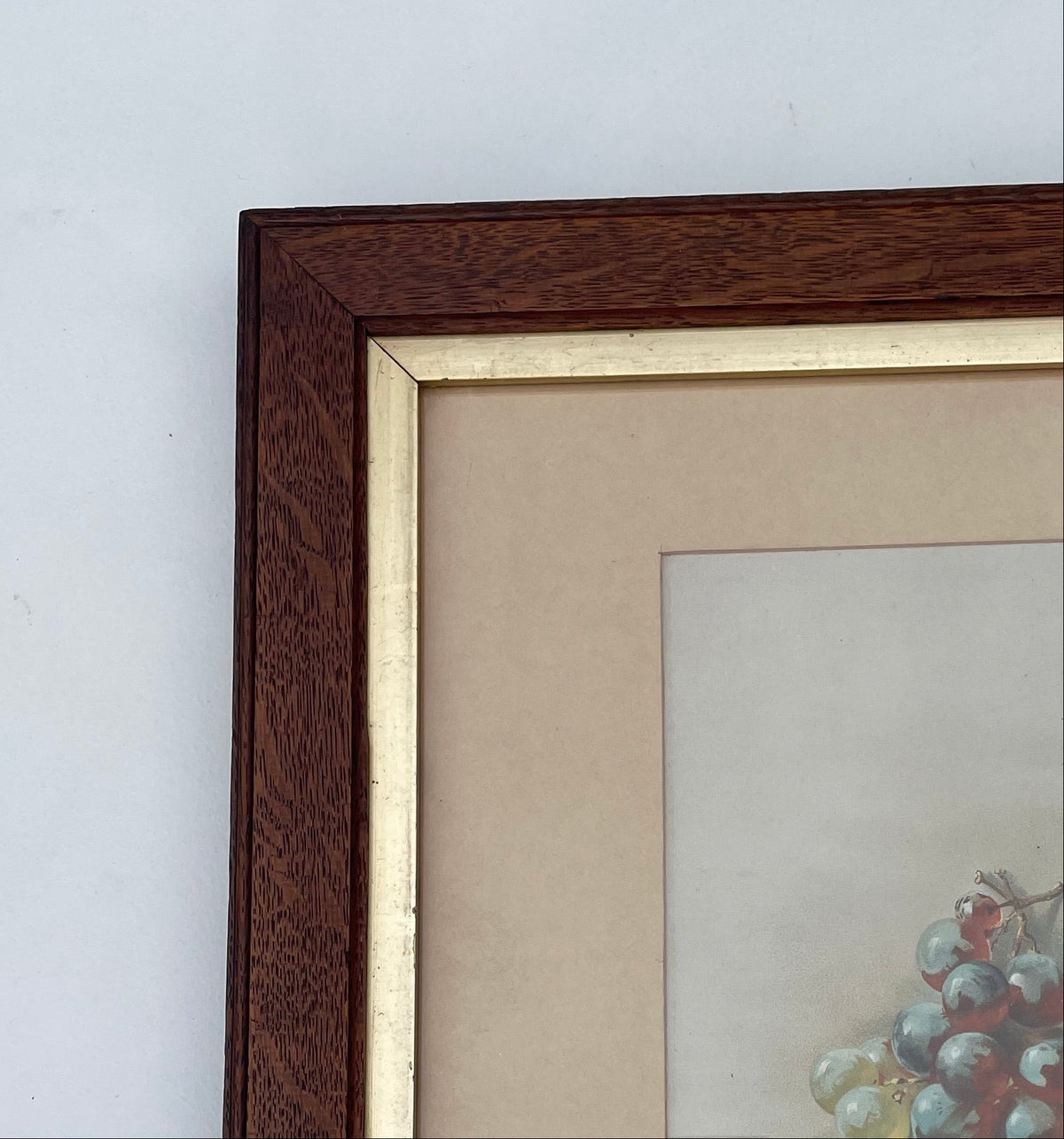 Antique Still Life With Grapes